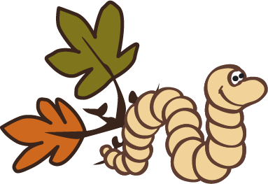 Baum des Jahres 2026 | Sächsischer Holzschutzverband e.V.